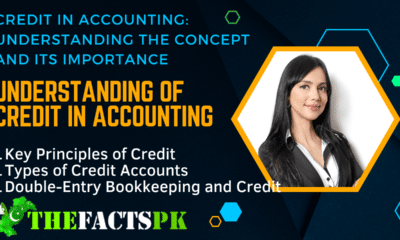 Understanding of Credit in Accounting thefactspk
