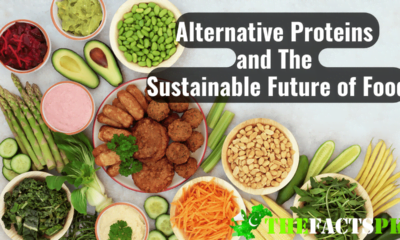 Alternative Proteins and The Sustainable Future of Food thefactspk