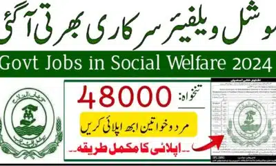 Family Welfare Workers Jobs 2024